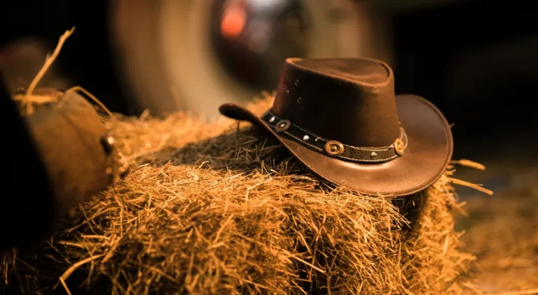 Cowboyhut | Stylisches Accessoire für Männer und Frauen